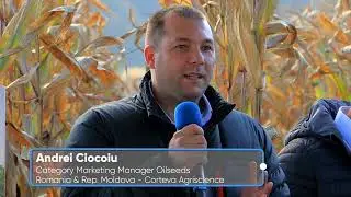 Recoltare hibrizi Pioneer în ferma SA AGROFERM BRATEIU