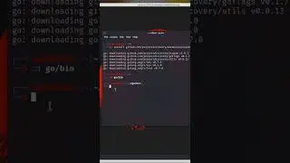 How to install asnmap in kali Linux 