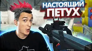 ВОТ ЭТО НАСТОЯЩИЙ ПЕТУХ на ПТС! P90 Custom в Warface