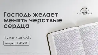 «Господь желает менять черствые сердца» | Марка 