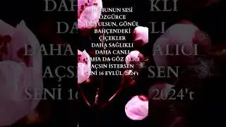 Sibel Tüzün Voice Academy Promo #3