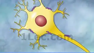 Prion