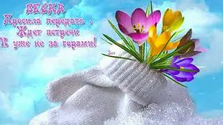 СЕГОДНЯ  В ГОСТИ К ФЕВРАЛЮ ПРИШЛА ВЕСНА