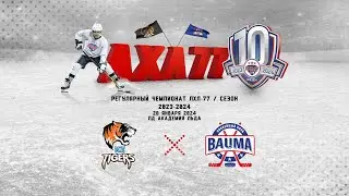 Ice Tigers - Баума