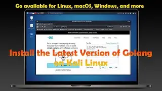 How to Install the Latest Version of GoLang on Kali Linux [Manually]