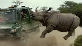 Park Ranger Messes With The WRONG Rhino...