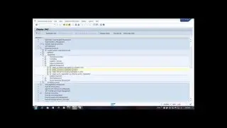 SAP Enterprise Structure configuration Video