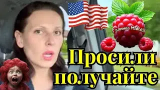 Big Big Family in the USA /Просили /Получайте /Обзор /Жизнь в США /Funny 4 /Лиса в Америке