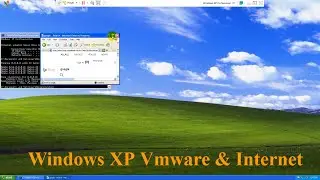 Internet Accessibility in Vmware Windows Xp | Technical Hakim #Vmware