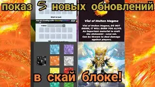 СЛИВ 5 НОВЫХ ОБНОВЛЕНИЙ В sky block!