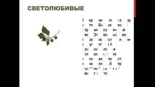 Свет в жизни растений и животных