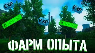 КАК ОТКРЫТЬ БАРАХОЛКУ В ТАРКОВЕ? ОБЩИЙ ГАЙД ПО ФАРМУ ОПЫТА И ВАЛЮТЫ В ESCAPE FROM TARKOV