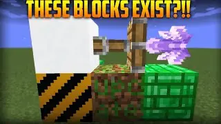 How to get HIDDEN & ILLEGAL BLOCKS in 1.17 Minecraft