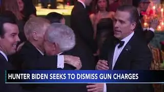 Hunter Biden prosecutors move to drop old gun count after plea deal collapse