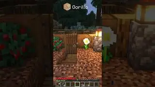 Spruce Starter Base🏠
