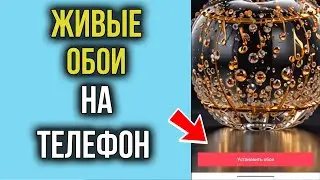 Как Установить Живые Обои на Телефон Андроид прямо из ТИК ТОКА