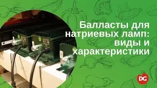 №26 Балласты для натриевых ламп: виды, характеристики и цены