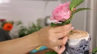 How to Make Flowers Food Safe