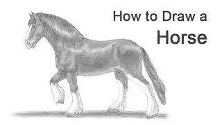 How to Draw a Horse (Clydesdale/Shire)