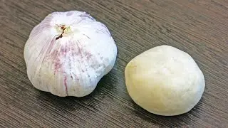 КАК СДЕЛАТЬ ТЕСТО С ЧЕСНОКОМ (МЁДОМ) ДЛЯ ЛОВЛИ ПЛОТВЫ