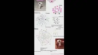 🦋Идеи амигуруми из бисера🦋 #shorts #shortvideo @mariamweasley8921 #бисер #бисероплетение