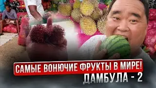 Эти фрукты воняют трупами! Цены в Шри-Ланке. Прогулка в Дамбуле.