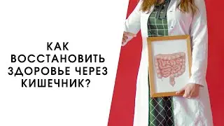 КАК ВОССТАНОВИТЬ ЗДОРОВЬЕ ЧЕРЕЗ КИШЕЧНИК: ПОШАГОВАЯ ИНСТРУКЦИЯ ✅