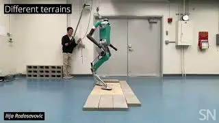 Reinforcement learning helps this humanoid robot navigate the world | Science News