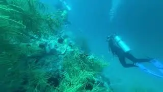 Komodo Scuba Diving Day 2 & 3 - 2024