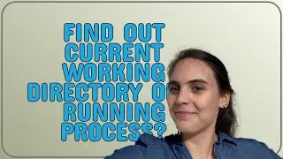 Unix: Find out current working directory of a running process?