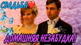 СВАДЬБА ТАНИ И АНДРЕЯ. ДОМАШНЯЯ НЕЗАБУДКА. ТАТЬЯНА КРАСНИК. ПИРАТСКАЯ ЖИЗНЬ. ОБЗОР.