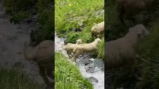 Дагестан 🌕 Тлярата 🏞️