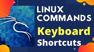 Basic and Advanced | Linux Commands