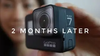 GoPro Hero 7 Black - 2 Months Later Review (ft. GoPole Dome)