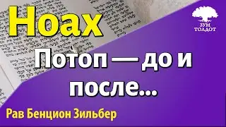 Потоп – до и после... Рав Бенцион Зильбер