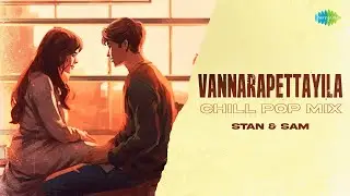 Vannarapettayila - Chill Pop Mix | Maaveeran | Bharath Sankar | Stan & Sam