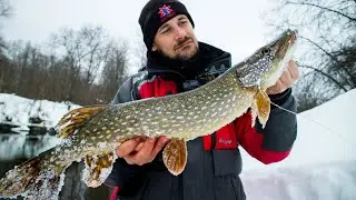 Пошла весенняя щучья жара!!! Ловля щуки на спиннинг, где и как ловить ранней весной.