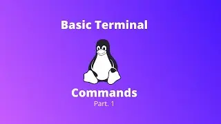 Basic Terminal Commands!