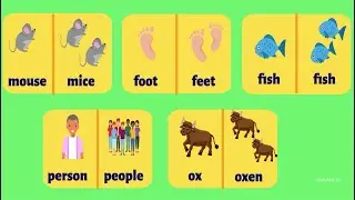 Irregular Plural Nouns | Grammar with examples | Learn English for Kids