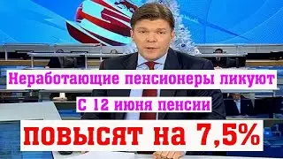 С 12 июня 2024 года Неработающие Пенсионеры России могут Рассчитывать на Повышение Пенсий