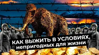 Магадан: город, который не вымрет | Лучший пример для умирающих городов России