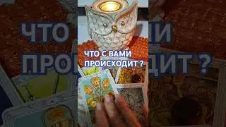 Что с Вами происходит ⁉️#таросчастливойсудьбы #осознание #tarot