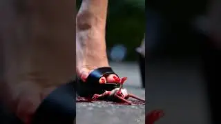hard stomp