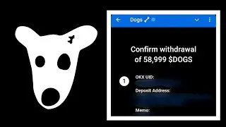 How to Claim $DOGS Airdrop to Wallet and Exchange (multiple account withdrawal)