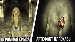 ОГРОМНАЯ КРЫСА И АРТЕФАКТ ДЛЯ ЖАБЫ. STALKER Oblivion Lost Remake #5
