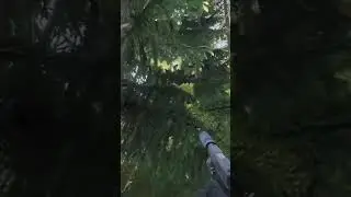 🌲DAYZ! ЛЕСНЫЕ ВОЙНЫ КЕПОК🔫 
