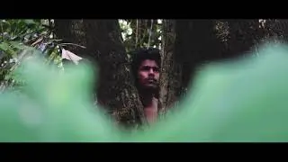 KAADU | FOREST | VIDEOGRAPHY Cinematography Portfolio