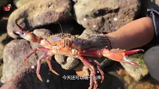 Xiaoyu went to catch the sea early in the morning