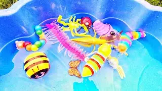 Bugs Fun | Learn Bug Insect Names for Babies Toddlers Preschoolers Kids: Snail Caterpillar Bee