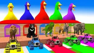 5 Giant Duck Cartoon,Tiger,Cow,T-Rex,Gorilla,Bear,Lion,Elephant Wild Animals Crossing Fountain 2023